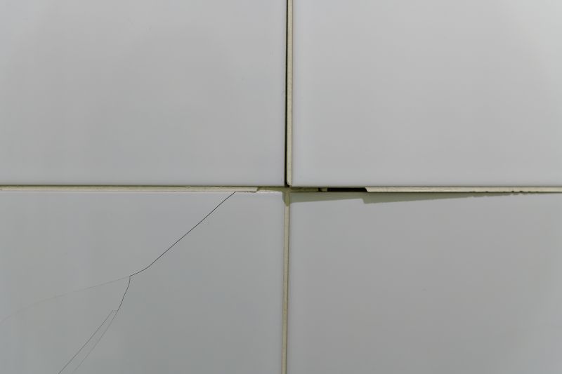Damaged Grout in Shower